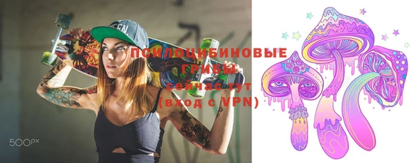 PSILOCYBIN Алексеевка