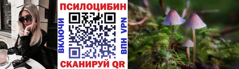 цена наркотик Балашов Псилоцибиновые грибы Magic Shrooms